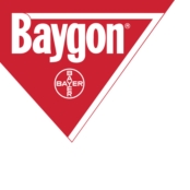 Baygon